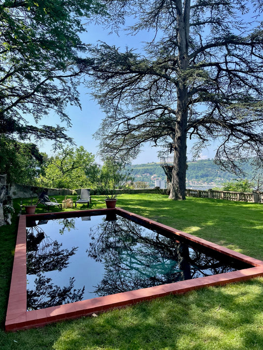 MAISON DE MAITRE + DEPENDANCE - PISCINE - SALLE CINÉ - VERANDA - JARDIN